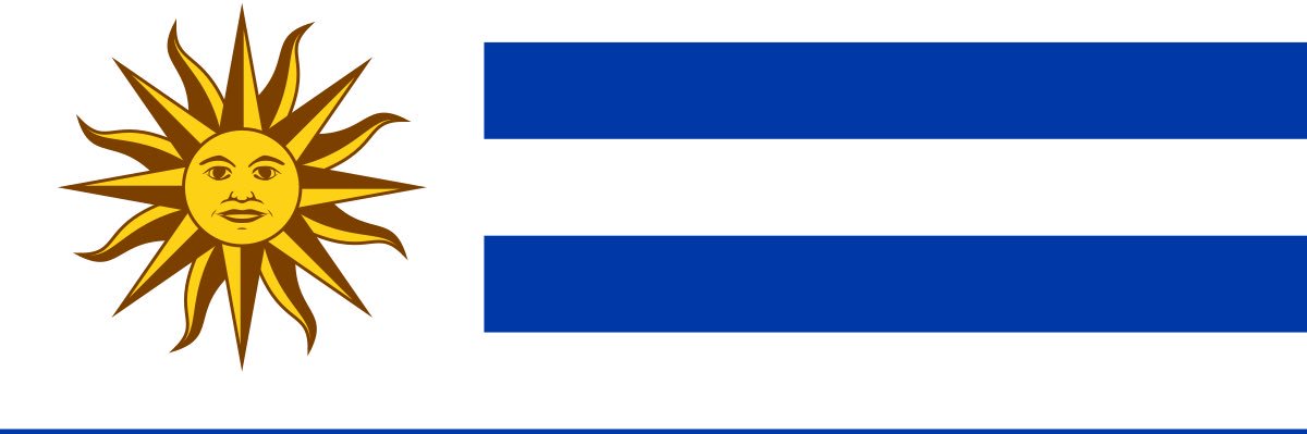 Florchu 🇵🇸🇻🇪 banner