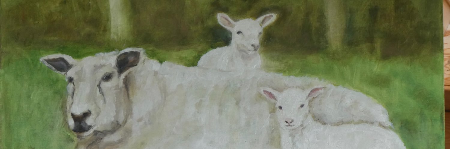mgmcmorrin's profile banner image