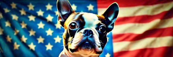 OldMrRose Profile Banner