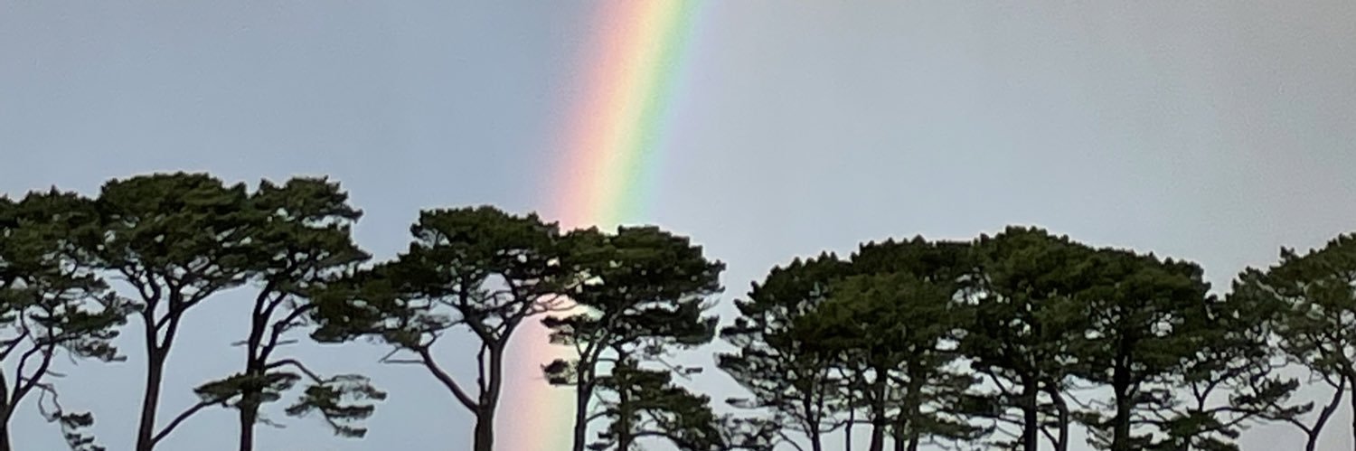 Louise Jackson banner