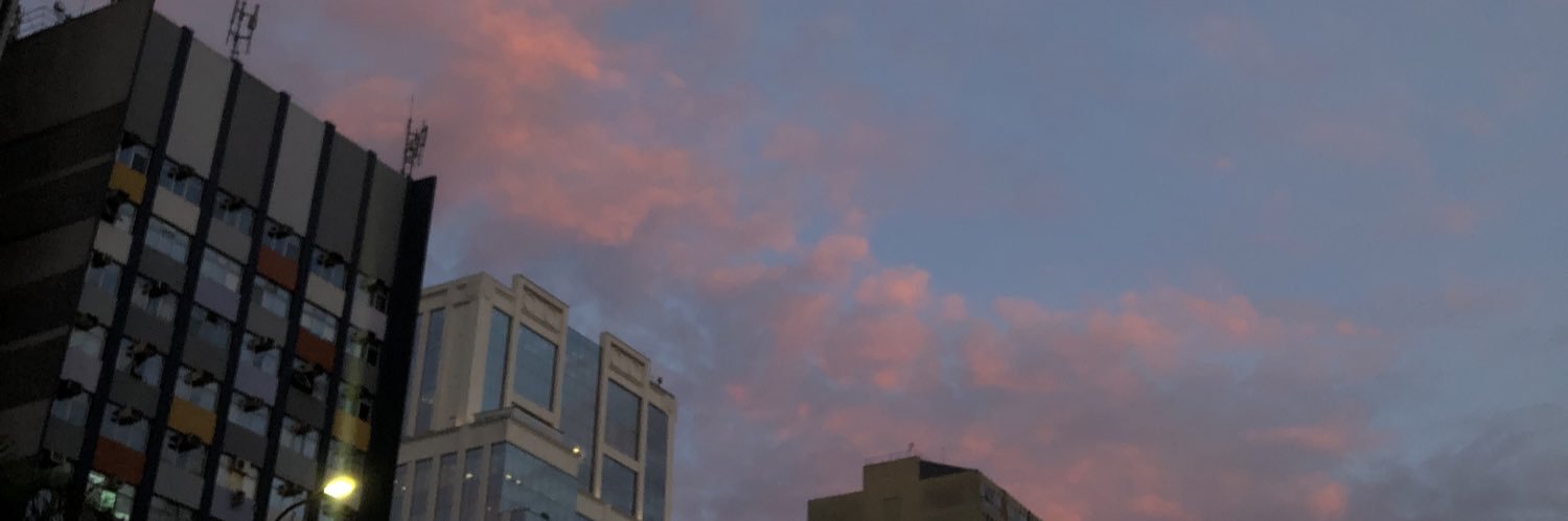 Isabelle Rocha banner