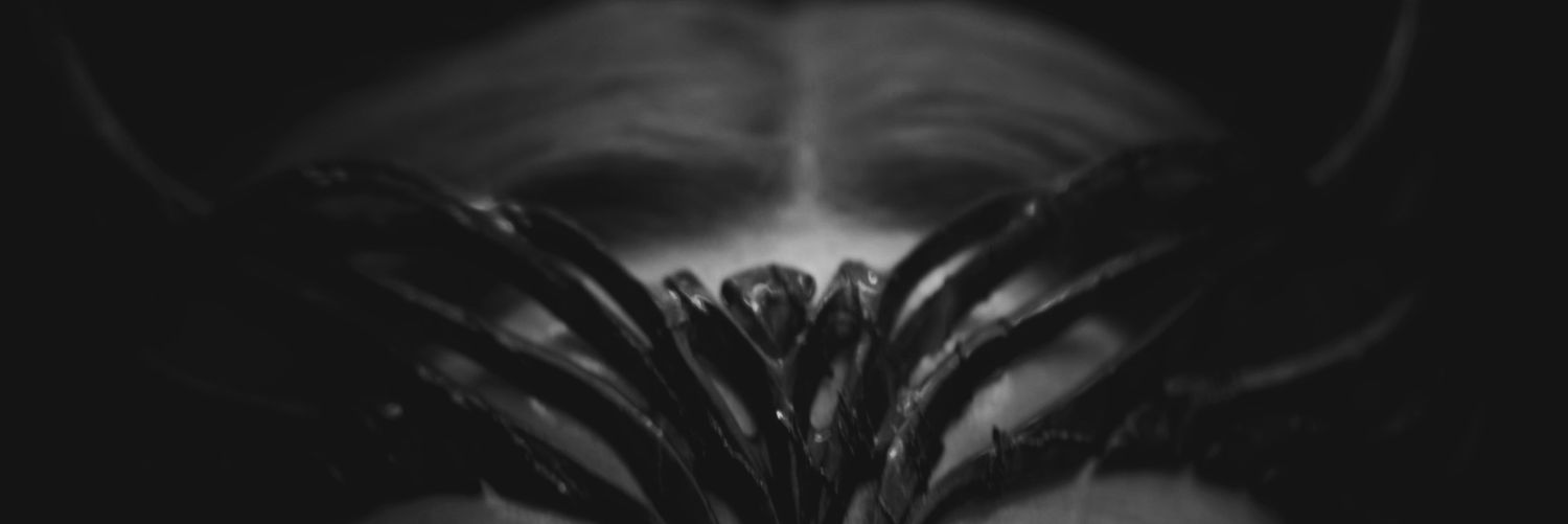 _wundagorewitch's profile banner image