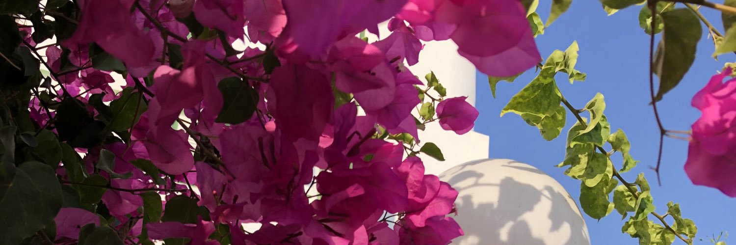 alr224's profile banner image