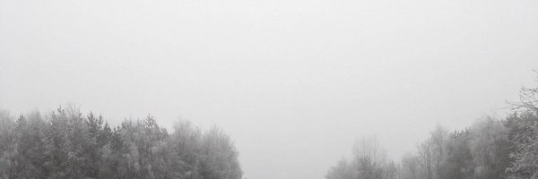 EnolaFallBand Profile Banner