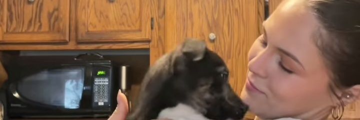 Emma Pauleti. banner