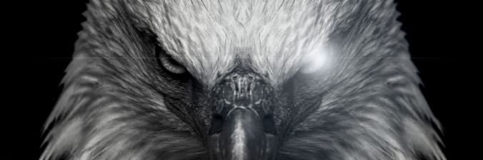 b0oksh's profile banner image