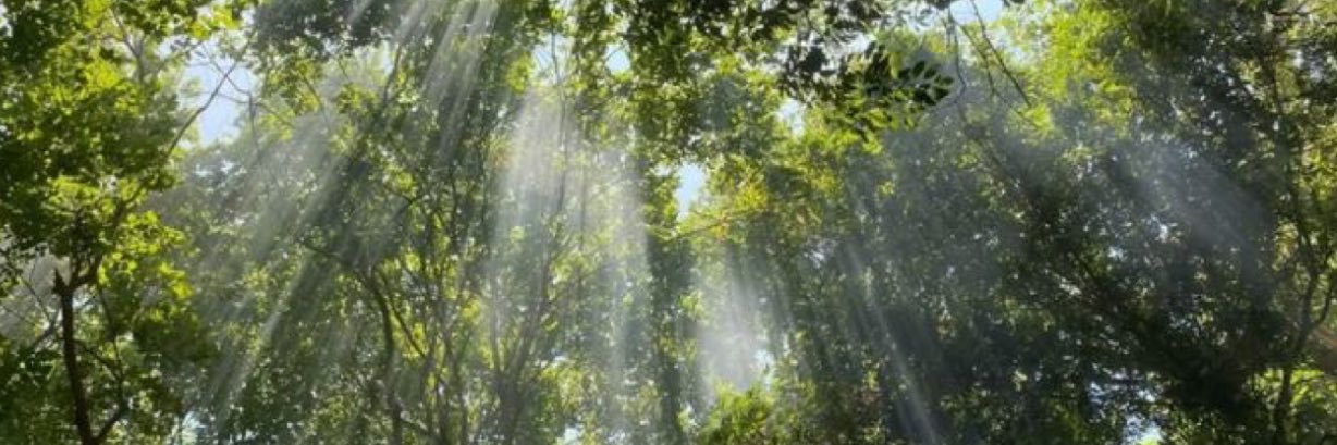 Green banner