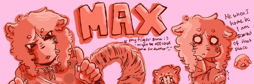 maxxy banner