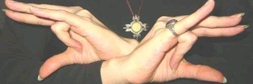 Daniel Flores banner