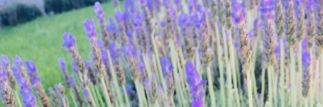 YanethTA's profile banner image