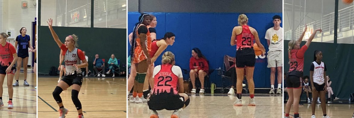 Sheena Steele banner