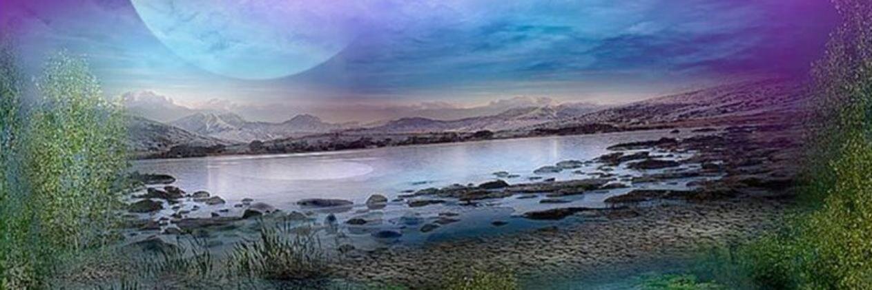 CaroleAHudson's profile banner image