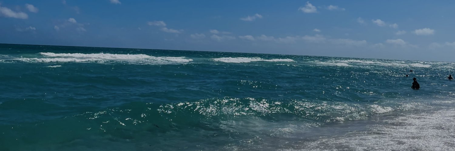 luurfs's profile banner image