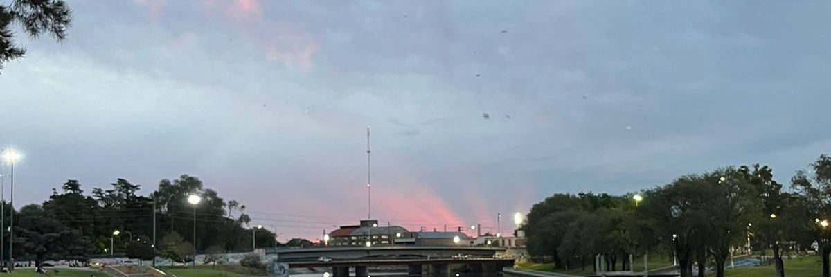 gaina_cata's profile banner image