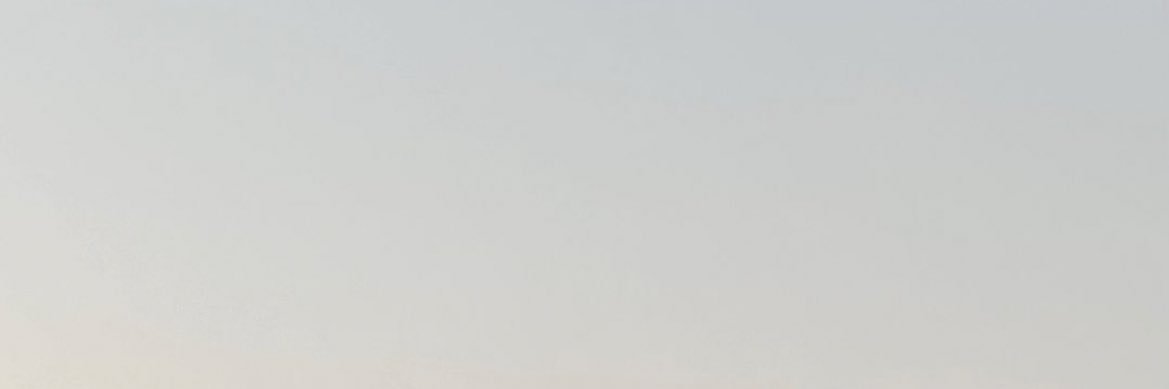 tayf_x's profile banner image