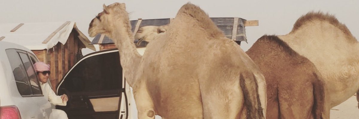 19Sud19's profile banner image