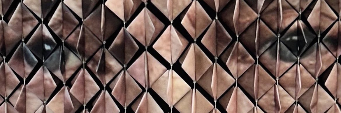 Max banner