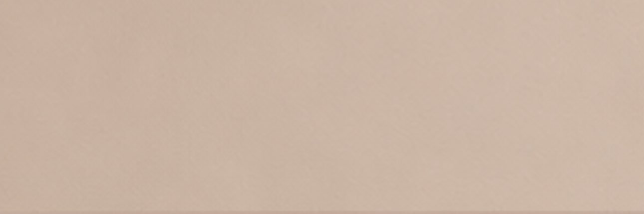 brandon xvids banner