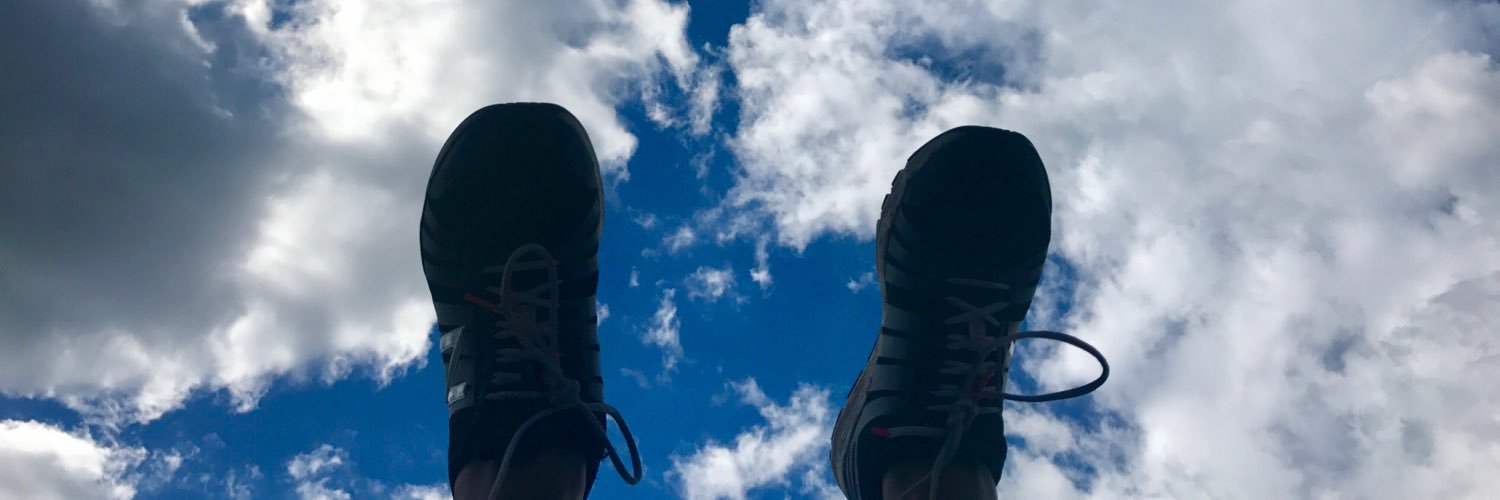 arondinel's profile banner image