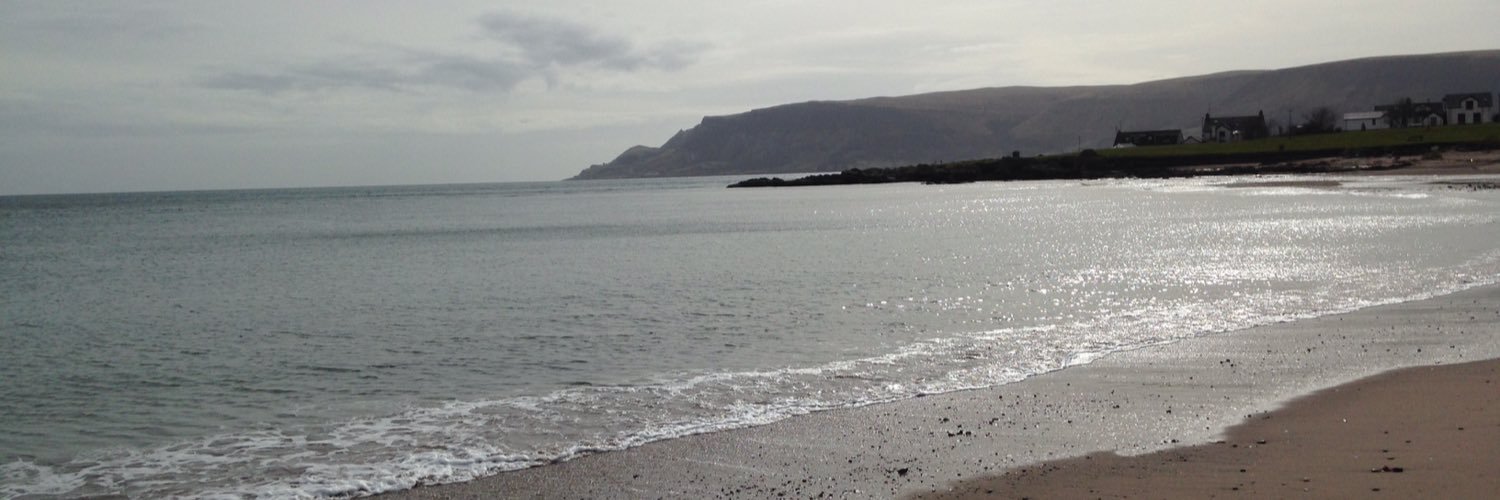Ronan Hunter banner