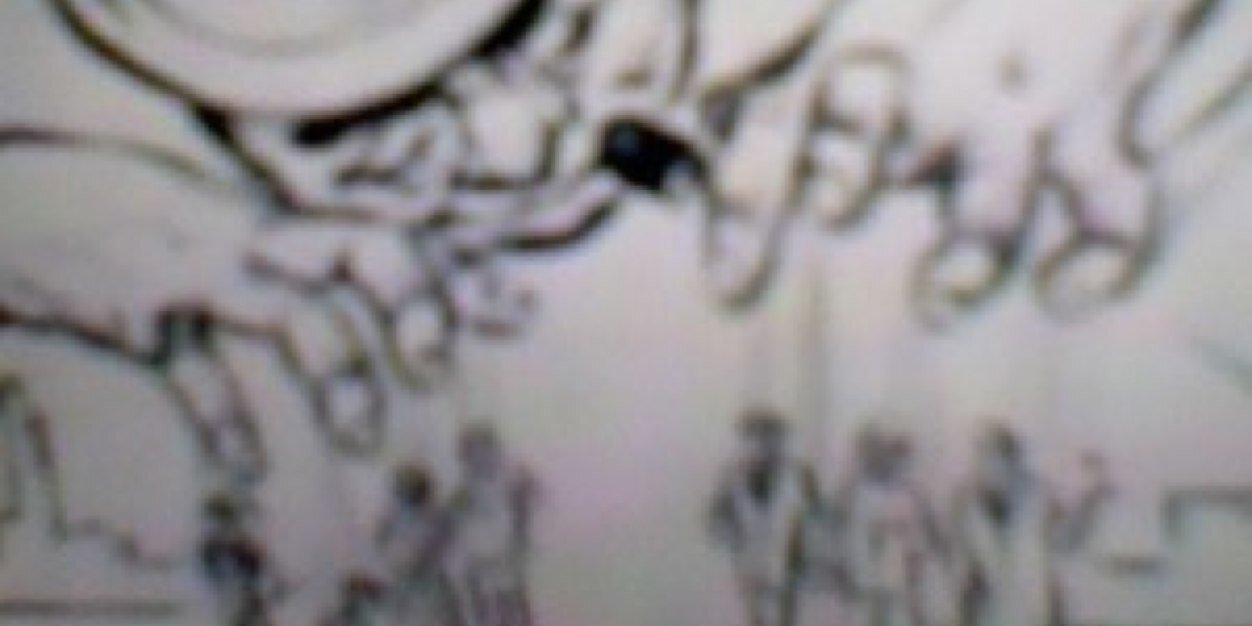 DonParadiso's profile banner image