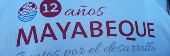 Yisel Yisi Fresneda banner