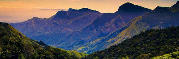 tnforestdept Profile Banner