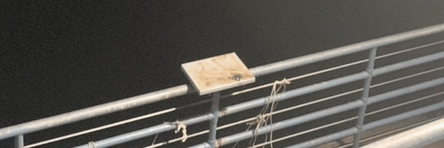 𝔰𝔬𝔟𝔯𝔢𝔩𝔞𝔩𝔲𝔫𝔞 ☽ banner