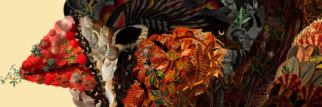 queliace's profile banner image