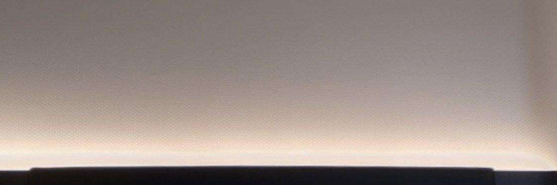 ねぎ banner