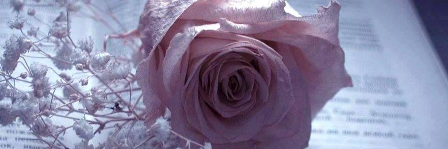 turca_ale's profile banner image