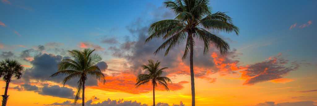 fLORIda🌴☀️🌸 banner