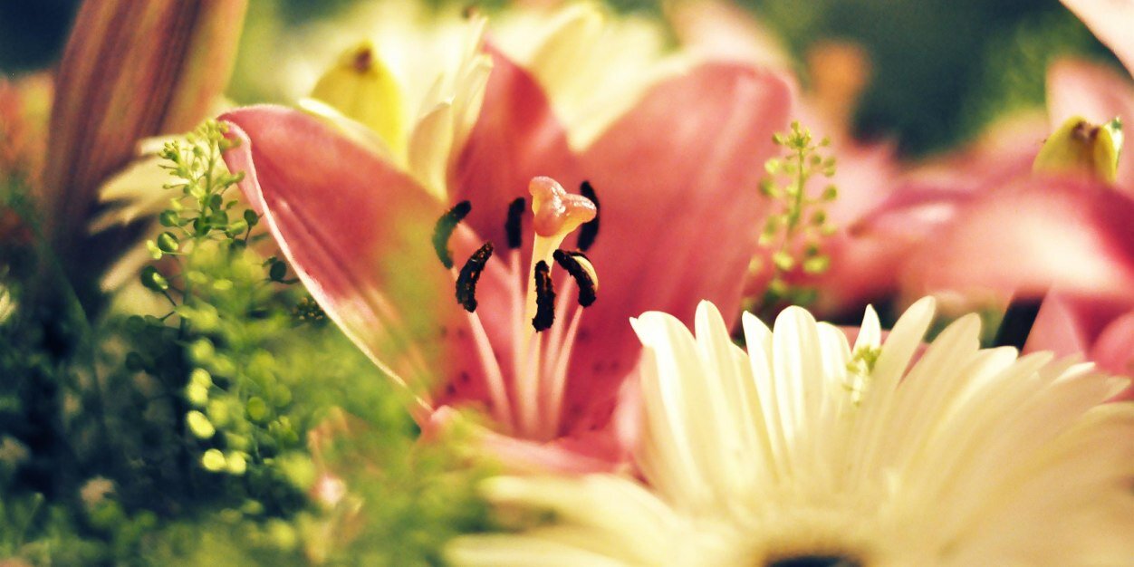dmarie174's profile banner image