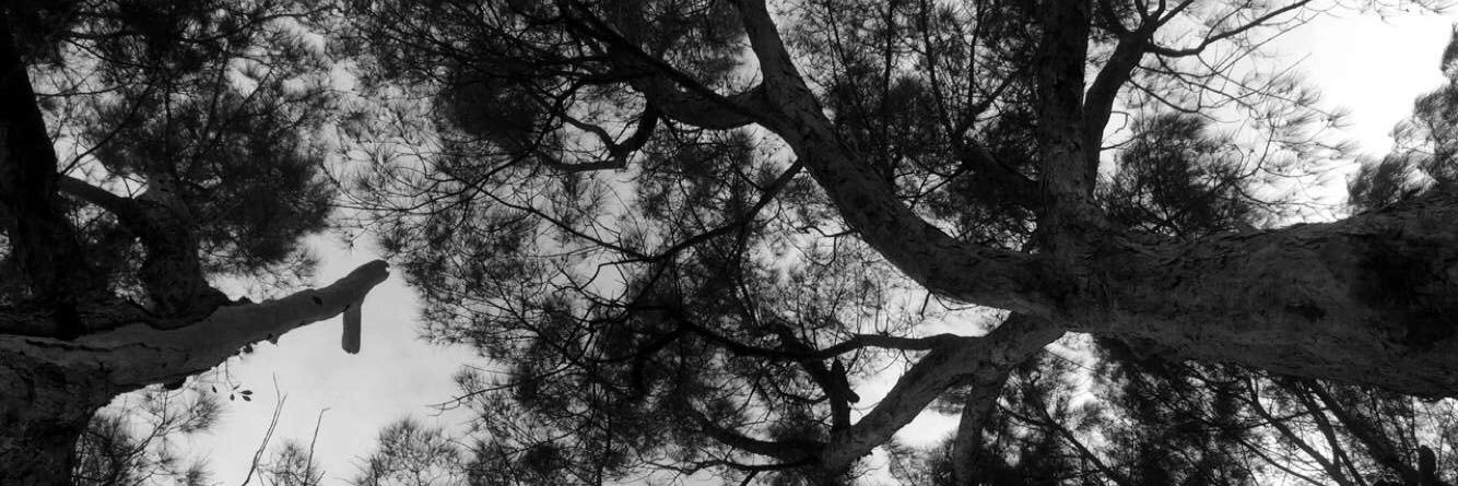 caylenwth's profile banner image