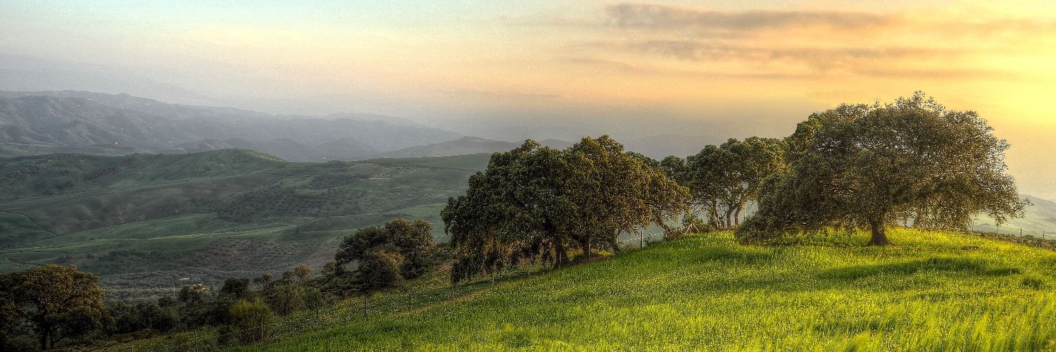 Iron Oak Editions banner