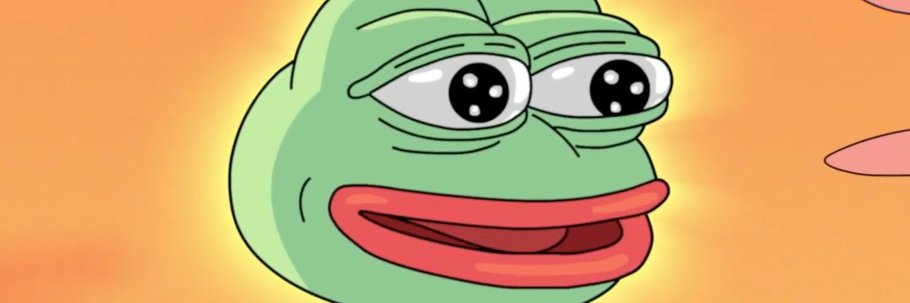 SolanaPepe69's profile banner image