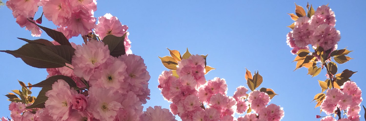 Justine_Marcel's profile banner image