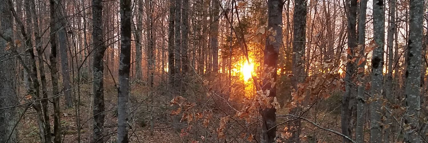 buckskinbowman's profile banner image