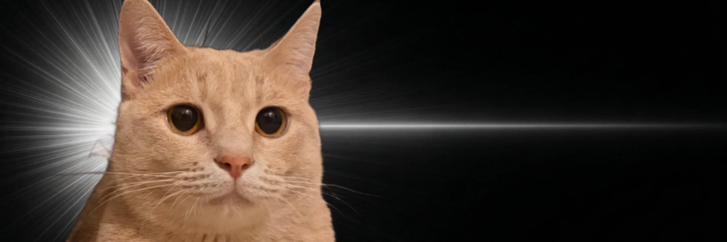 のるま banner