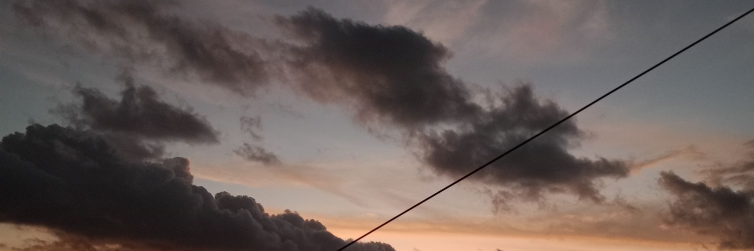 han banner