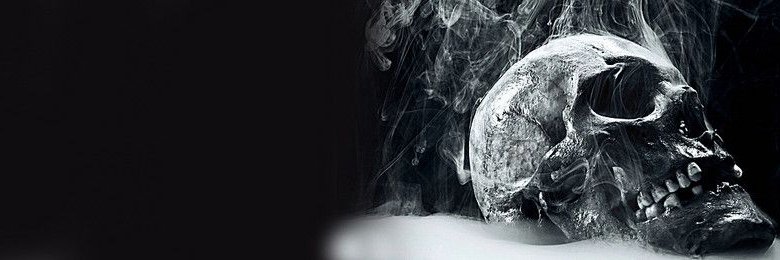 Lemartes banner