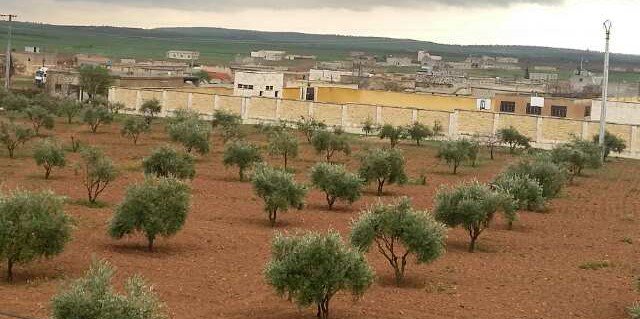 furat72's profile banner image