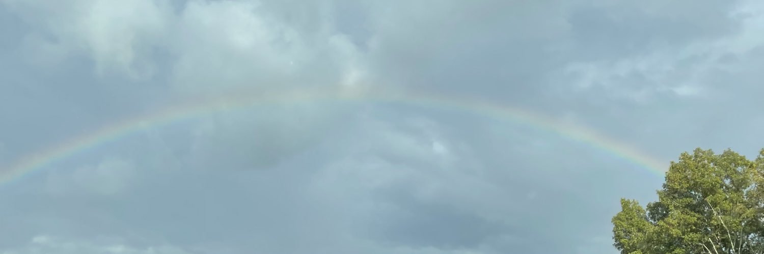 abby masoner banner