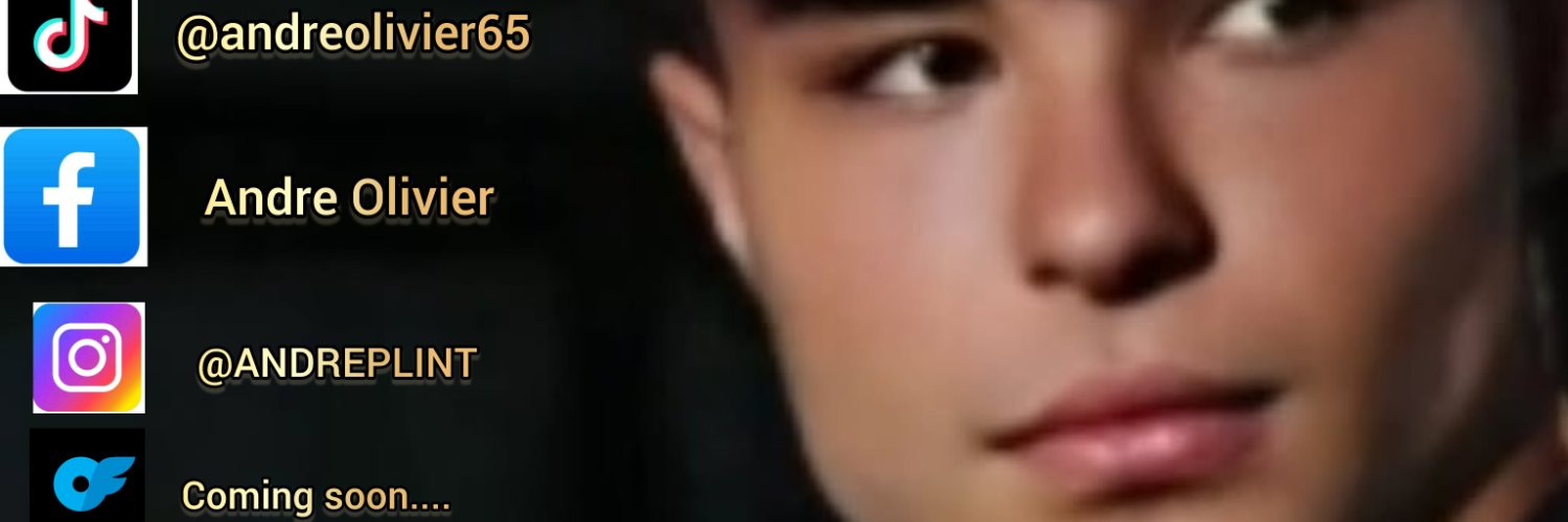 andreplint1 banner