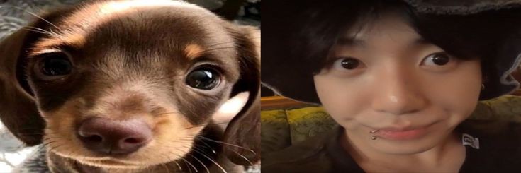 jk9⁷ banner