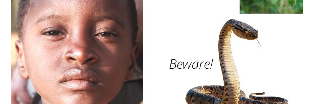 Deborah Klein banner