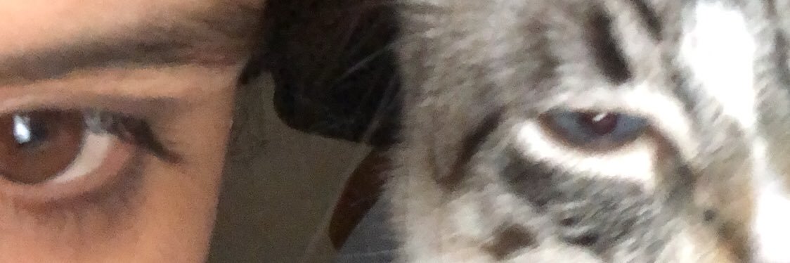scarlettbrayner's profile banner image