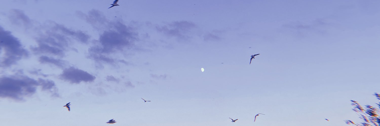 barnicoles's profile banner image