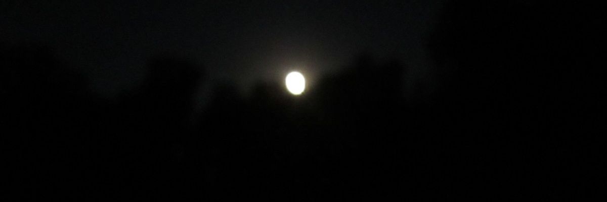 leighgianne's profile banner image