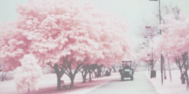 styleslilacs's profile banner image